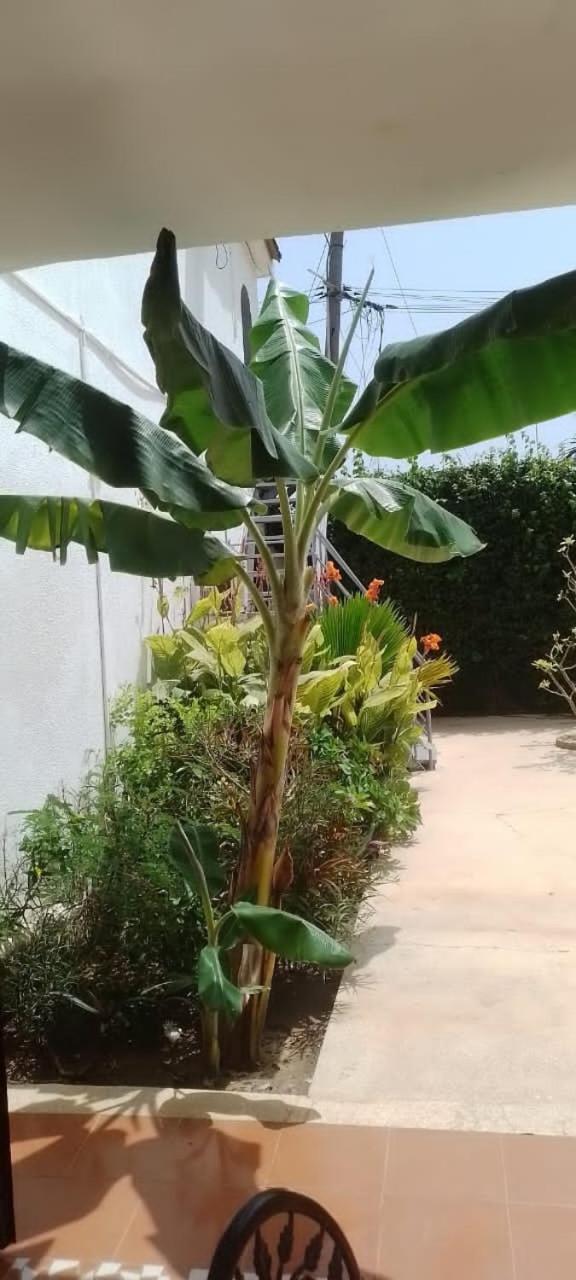 Riad Cote Jardin Сали Портудал Екстериор снимка